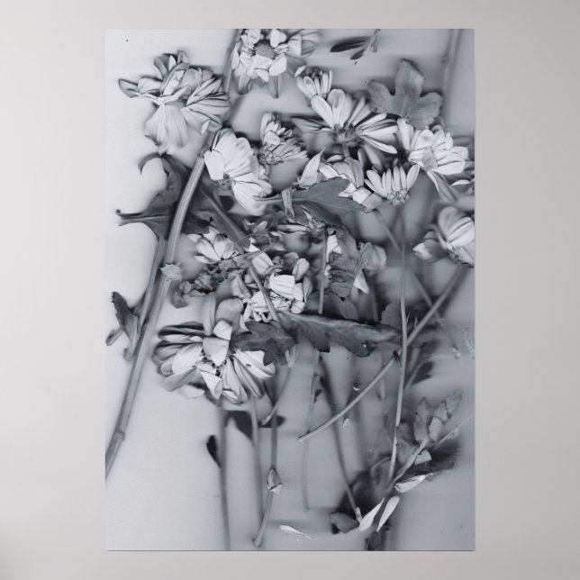 Affiche Fleurs en noir et blanc (Devant)