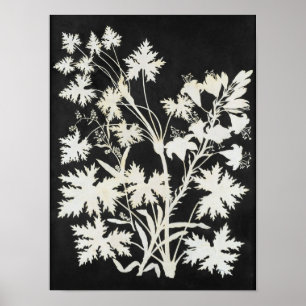 Affiche Fleurs en silhouette