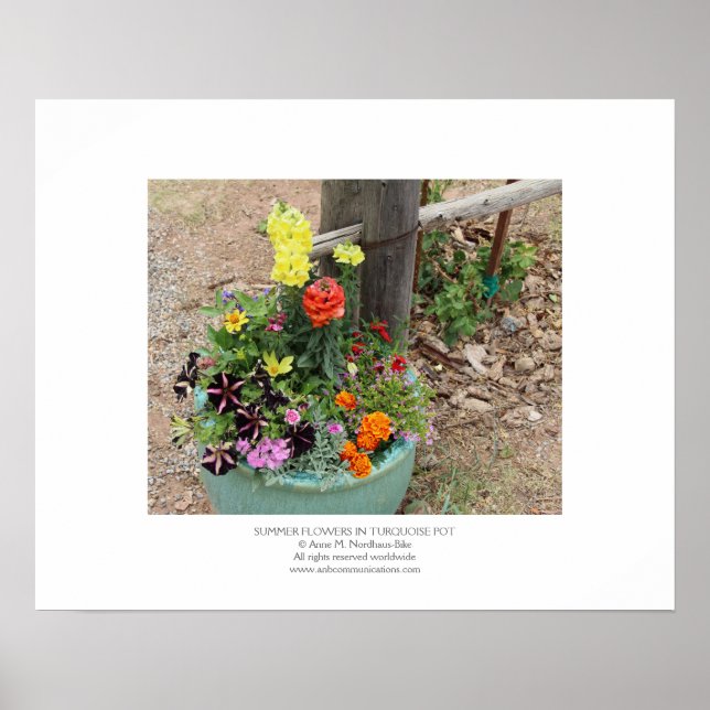 Affiche Fleurs estivales en Pot Turquoise (Devant)