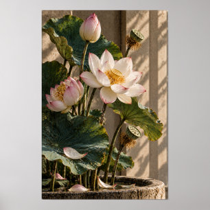 Affiche Fleurs et capsules de lotus rose botanique murale