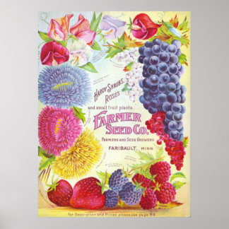 Affiche Fleurs et fruits Catalogue Vintage Couverture Impr