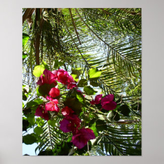 Affiche Fleurs et palmiers