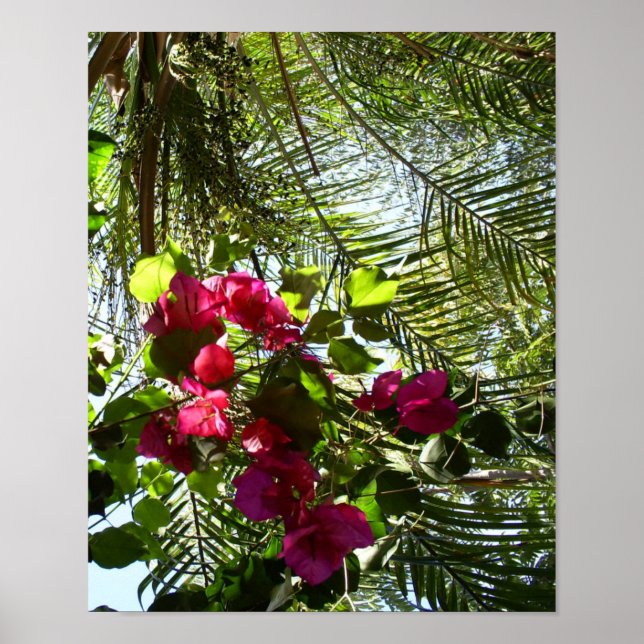 Affiche Fleurs et palmiers (Devant)