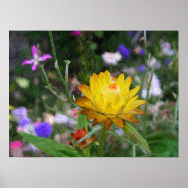 Affiche Fleurs éternelles. (Devant)