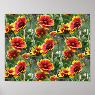 Affiche Fleurs Faisées Rouges Et Jaunes