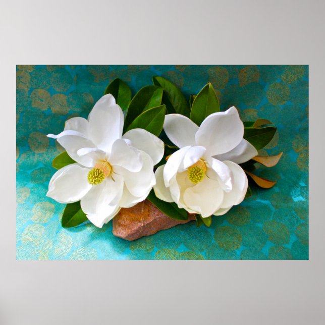 Affiche Fleurs | Fleur Magnolia (Devant)