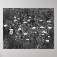 Fleurs Fleurs Fleurs Noir Blanc Imprimer