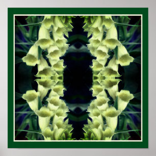 Affiche Fleurs Foxglove crémeuses Miroir Abstrait