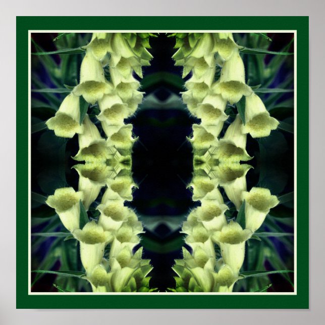 Affiche Fleurs Foxglove crémeuses Miroir Abstrait (Devant)