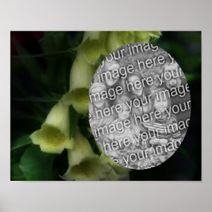 Affiche Fleurs Foxglove Intense Ajouter Votre Photo
