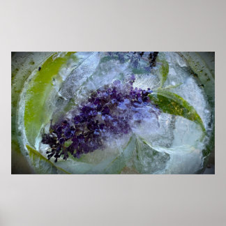 Affiche Fleurs Gelées
