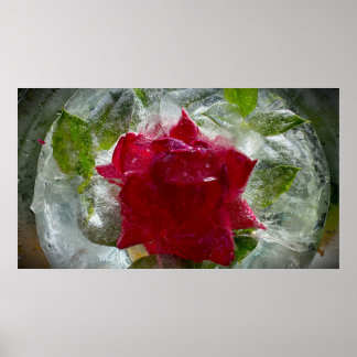 Affiche Fleurs Gelées