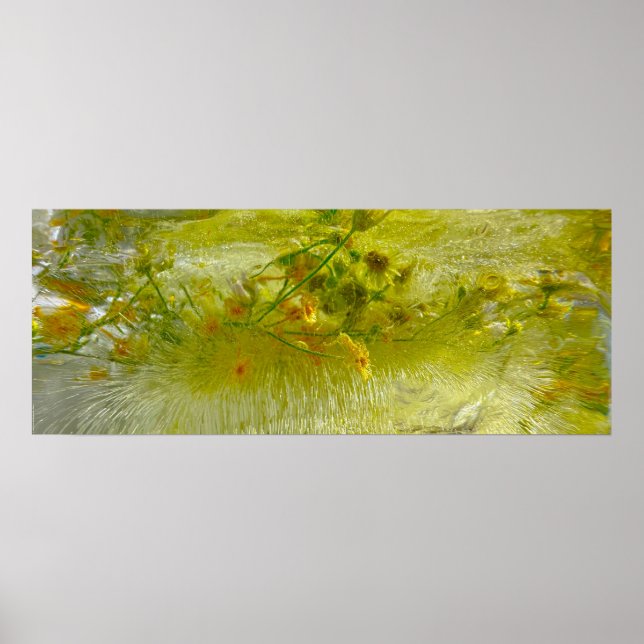 Affiche Fleurs glacées, (Devant)