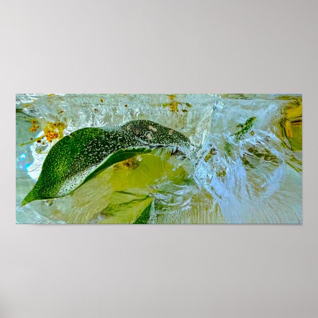 Affiche Fleurs glacées, (Devant)