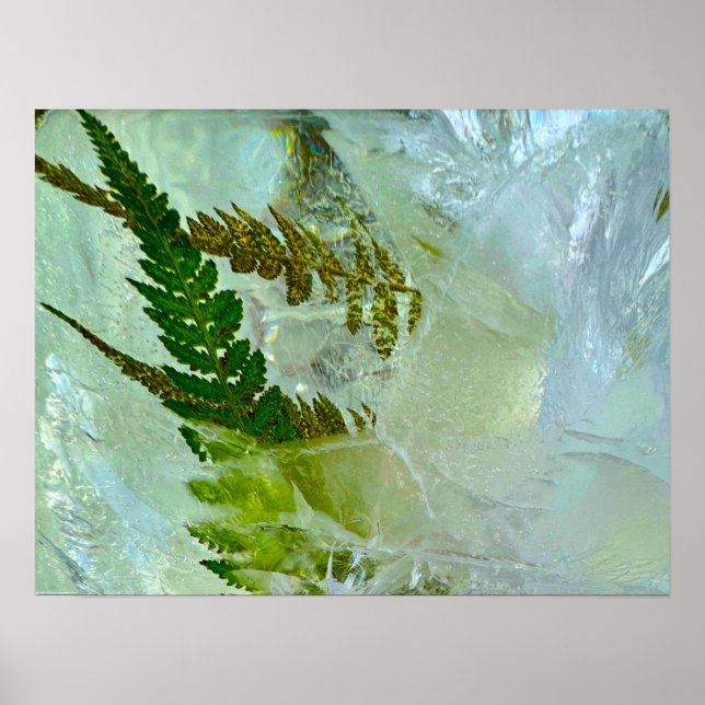 Affiche Fleurs glacées, (Devant)