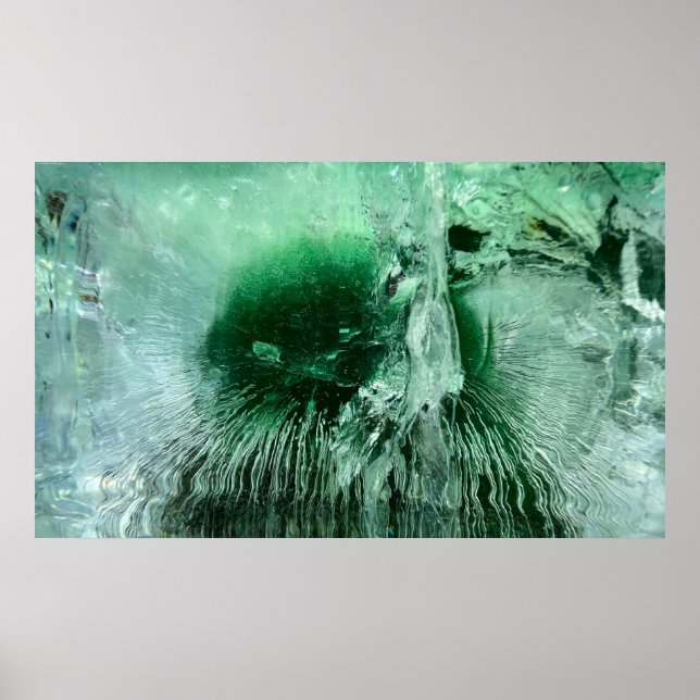 Affiche Fleurs glacées, (Devant)