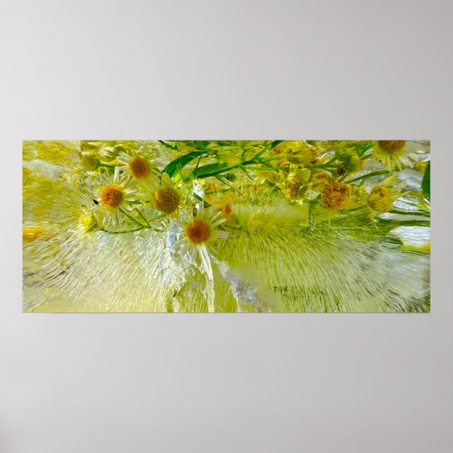 Affiche Fleurs glacées, (Devant)