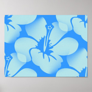 Affiche Fleurs hawaïennes de ketmie