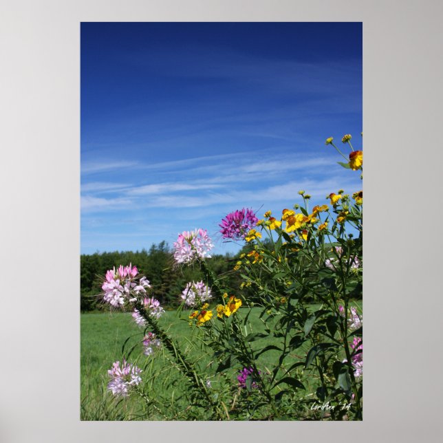 Affiche Fleurs inclinables (Devant)