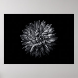 Affiche Fleurs jardins En Noir Et Blanc 20
