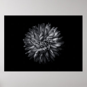 Affiche Fleurs jardins En Noir Et Blanc 20
