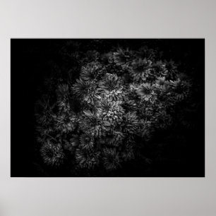 Affiche Fleurs jardins En Noir Et Blanc No 29
