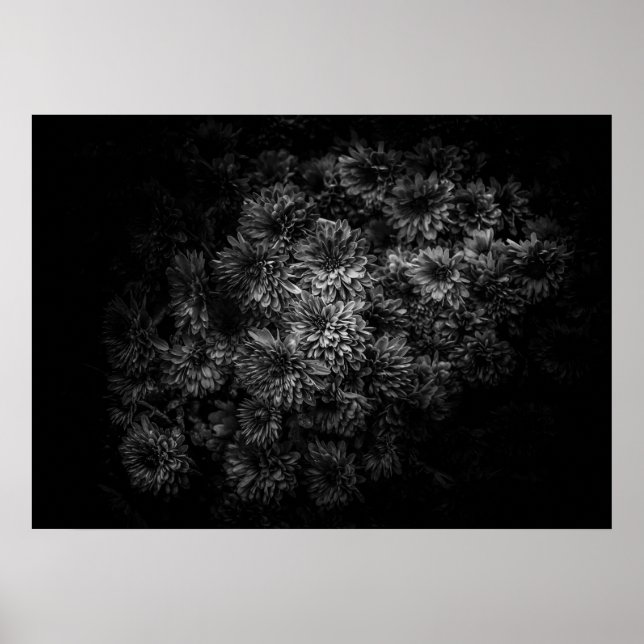 Affiche Fleurs jardins En Noir Et Blanc No 29 (Devant)