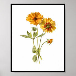 Affiche Fleurs Jaunes simples Florales