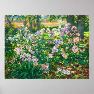 Affiche Fleurs jolies vintages Illustration Fleurs blanche