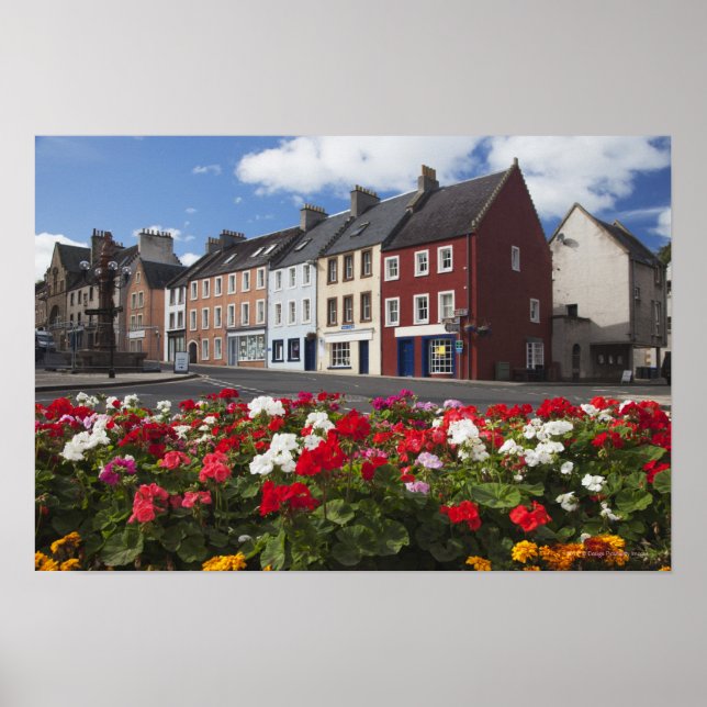 Affiche Fleurs Le Long D'Une Rue Dans Un Quartier Résident (Devant)