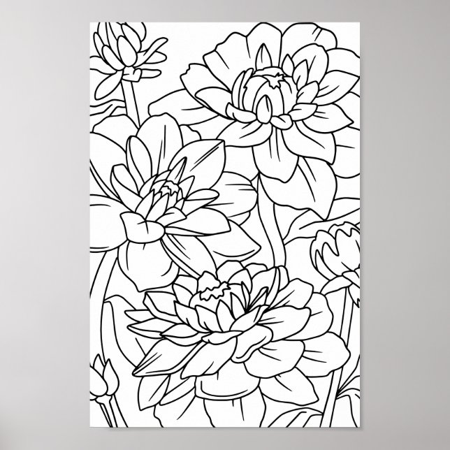 Affiche Fleurs Lotus de coloration adulte 1 (Devant)