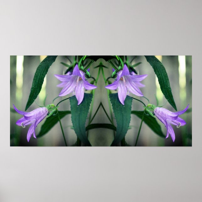 Affiche Fleurs Lys violettes délicates Miroir Abstrait (Devant)
