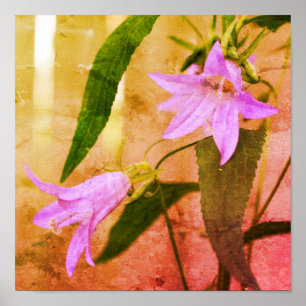 Affiche Fleurs Lys Violettes Délicieuses Art Décoré