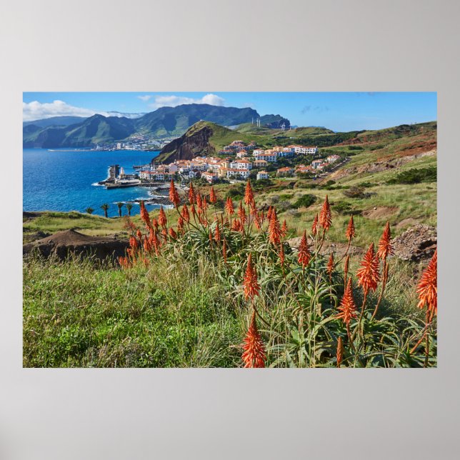 Affiche Fleurs | Madeira Island Portugal (Devant)