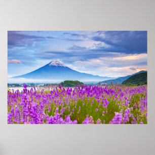 Affiche Fleurs   Mont Fugi Japon