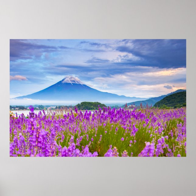 Affiche Fleurs | Mont Fugi Japon (Devant)