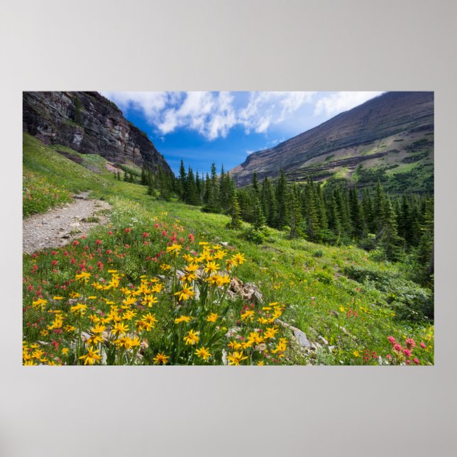 Affiche Fleurs | Montana Flower Path (Devant)