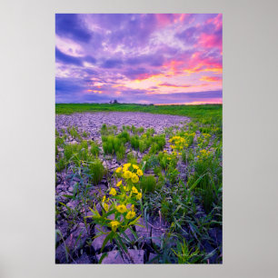 Affiche Fleurs   North Dakota Red River Valley