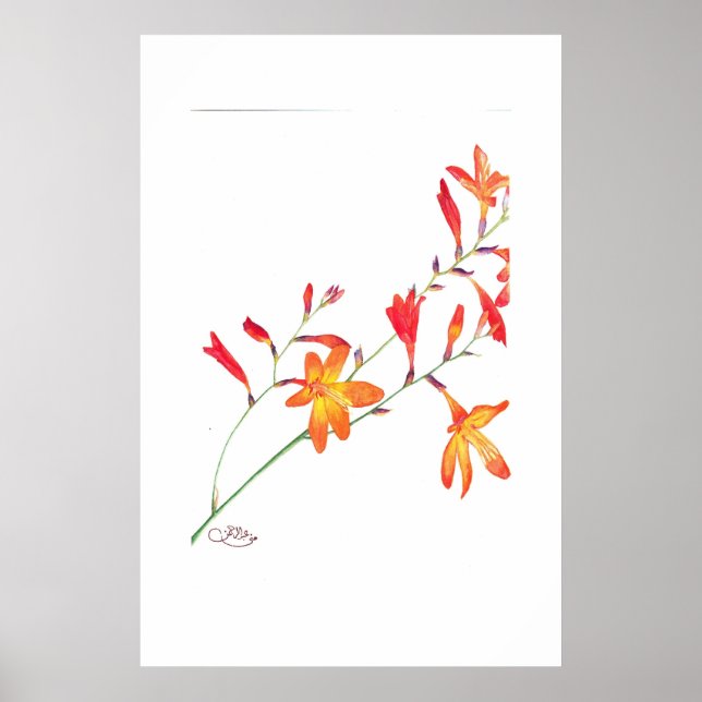 Affiche Fleurs orange (Devant)
