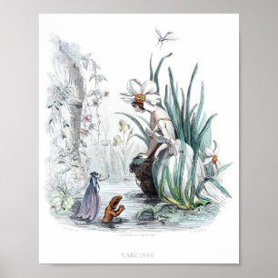 Affiche Fleurs personnifiées -Daffodil