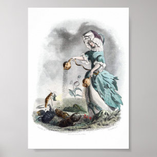 Affiche Fleurs personnifiées -Pavot