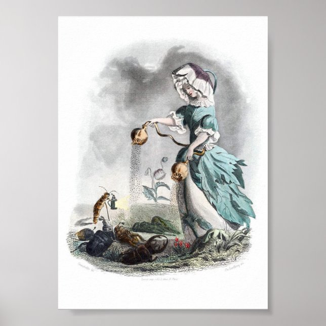 Affiche Fleurs personnifiées -Pavot (Devant)