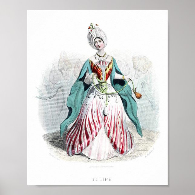 Affiche Fleurs personnifiées -Tulipe (Devant)