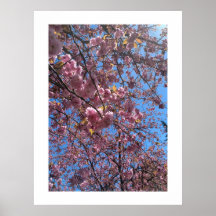 Fleurs printanières