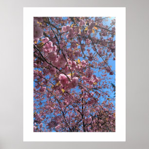 Affiche Fleurs printanières