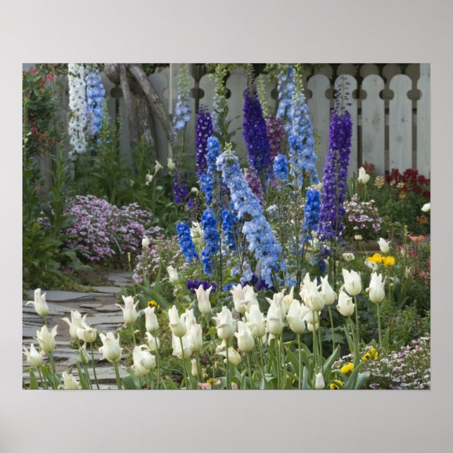 Affiche Fleurs printanières le long d'un chemin de jardin, (Devant)