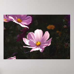 AFFICHE FLEURS PURPLE PETALED