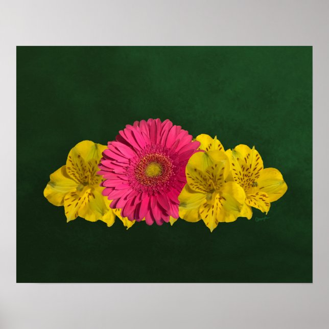 Affiche Fleurs rose et jaune vif Imprimer (Devant)