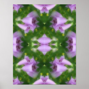 Affiche Fleurs roses Foxglove Abstraites