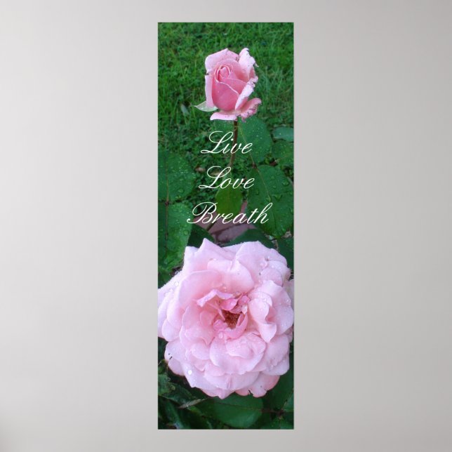 Affiche Fleurs Roses Roses Roses dans la Pluie (Devant)